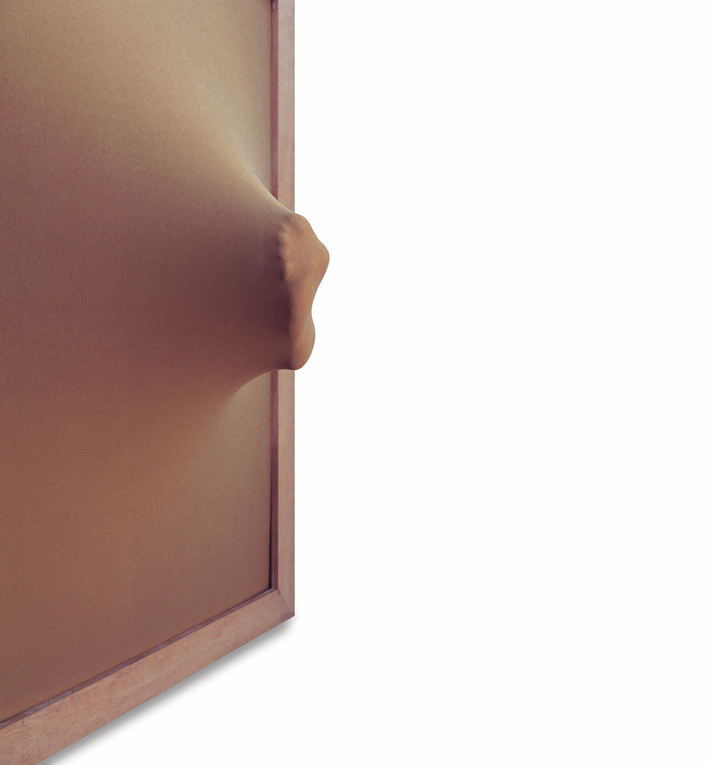 kick in the scrotum purse Dek