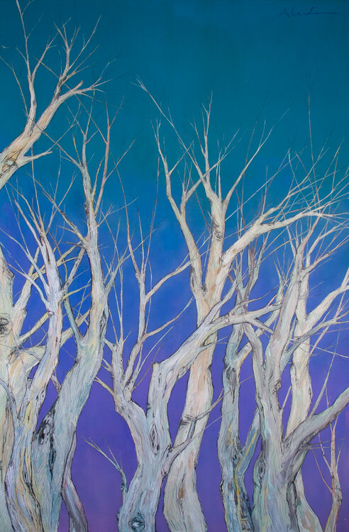 El silencio de las ventanas abiertas en invierno. Alexia López Sosa