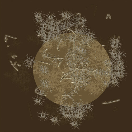 "Brown Moon" Unique piece van Harald Gsaller, Digitaal te koop op Singulart