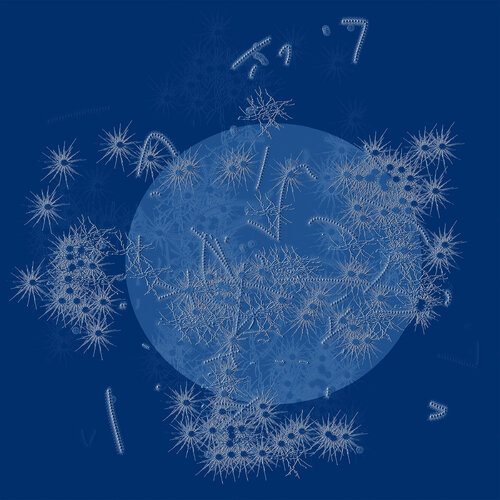"Blue Moon" Unique piece van Harald Gsaller, Digitaal te koop op Singulart