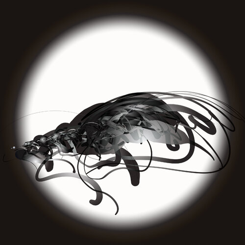 "The Fly" Var1 par Harald Gsaller, Digital en vente sur Singulart