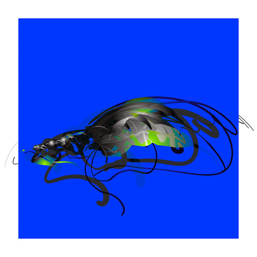 "The Fly" Var5 di Harald Gsaller, Digitale in vendita su Singulart