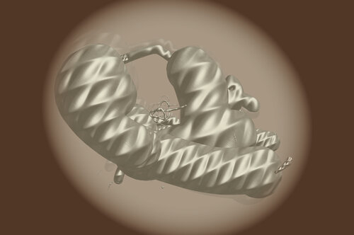 "Immortal Embryo C" di Harald Gsaller, Digitale in vendita su Singulart