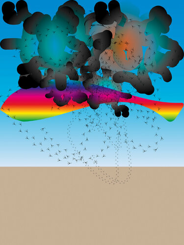 "Auspicious Clouds B" di Harald Gsaller, Digitale in vendita su Singulart