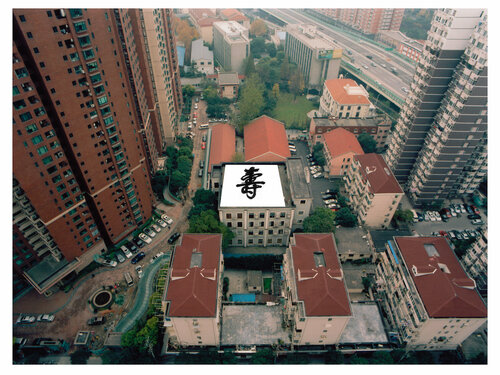 "Wu wei / Shou (Longevity)" Harald Gsaller