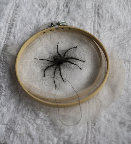 Huntsman Spider-1 Aomi Kikuchi