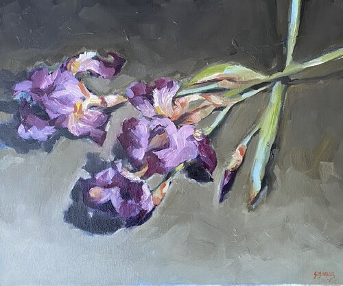 Iris couchés von Géraldine Morales, Malerei kaufen auf Singulart
