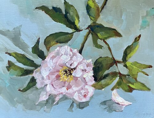 pivoine arbustive 2 di Géraldine Morales, Pittura in vendita su Singulart