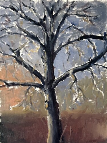l'arbre noir van Géraldine Morales, Werk op papier te koop op Singulart