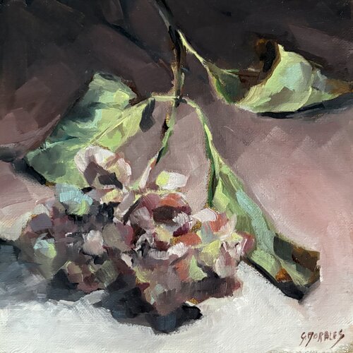 hortensia fané 8 by Géraldine Morales, 絵画 for Sale on Singulart