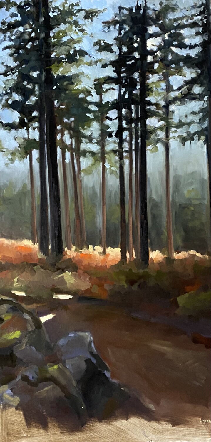Forêt de Rambouillet 1 Géraldine Morales