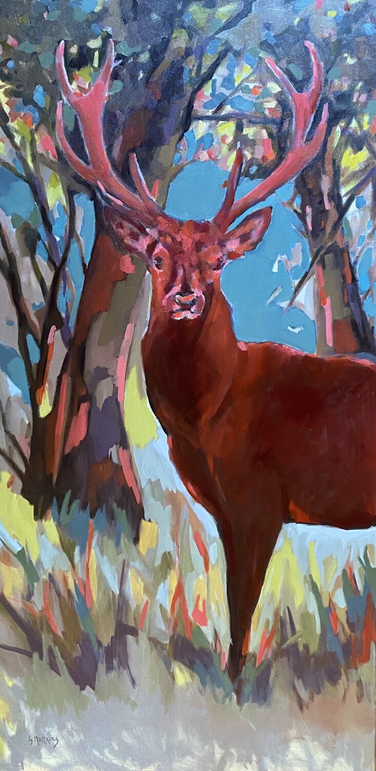 Le cerf rouge Géraldine Morales