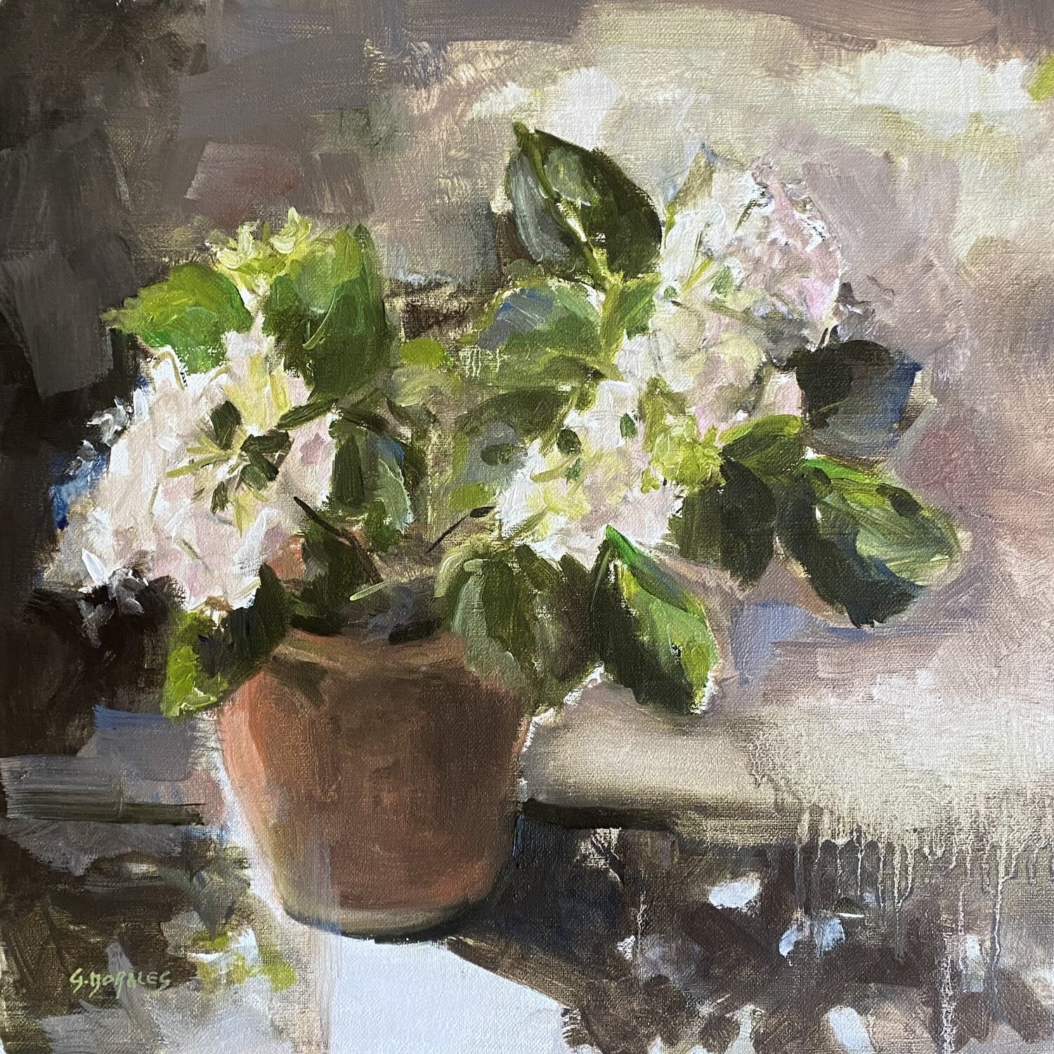 hortensia blanc en pot Géraldine Morales Originalgemälde zu verkaufen