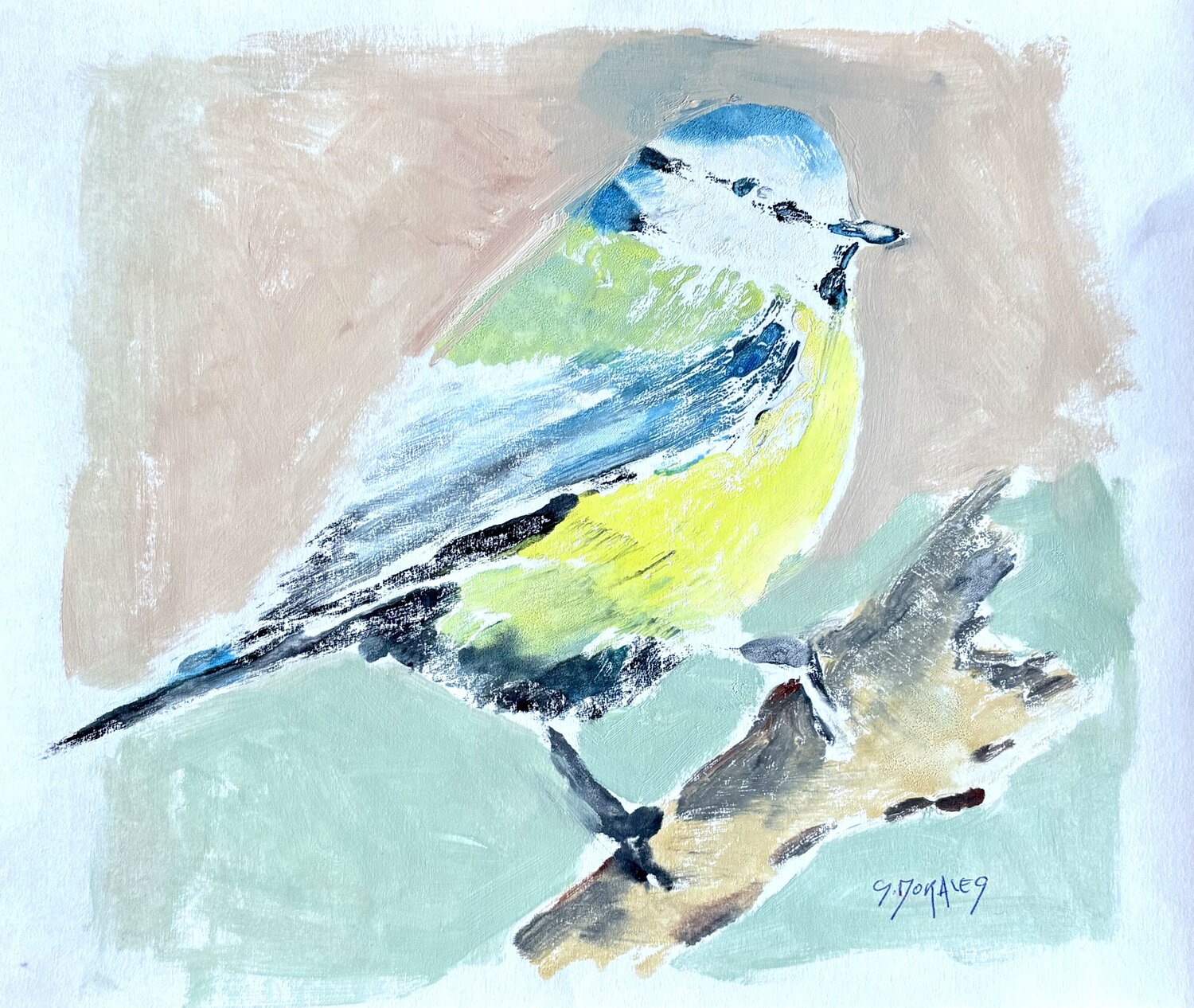 Monotype mésange Géraldine Morales