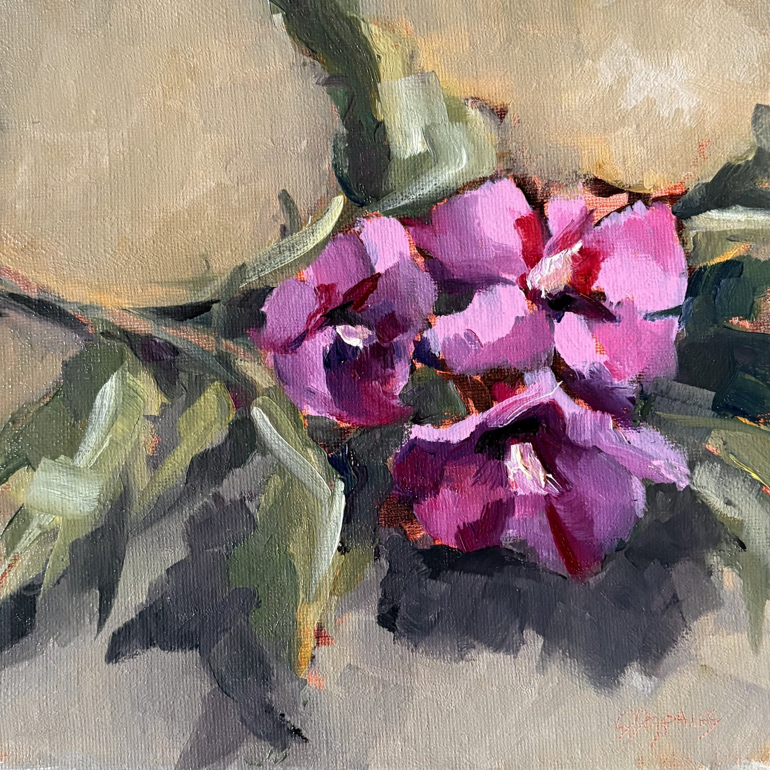 hibiscus 3 fleurs Géraldine Morales