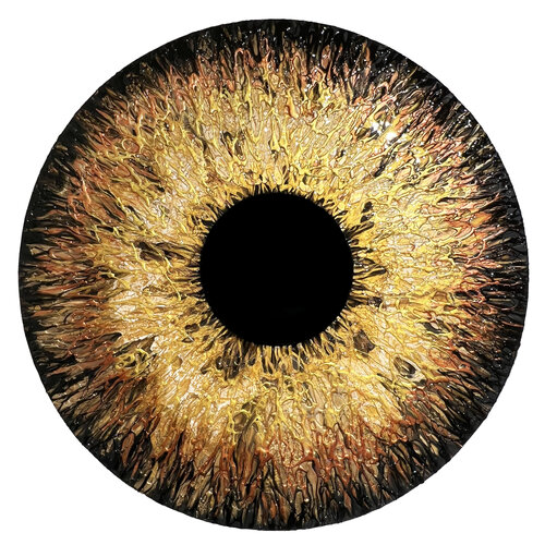 Golden Iris Marjan Fahimi