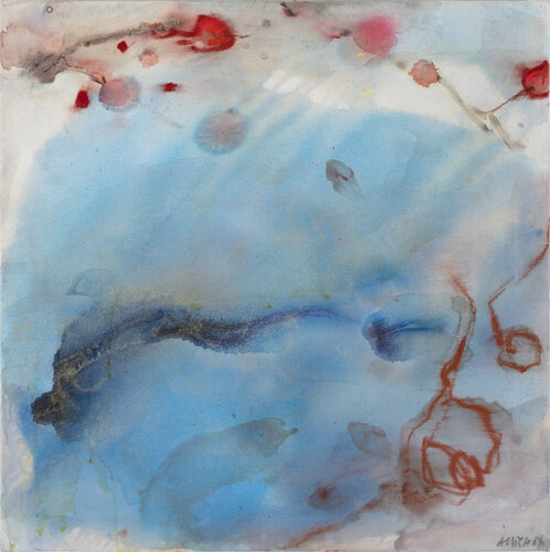 Seerosen 6 I Water Lilies 6 Alexandra Hiltl