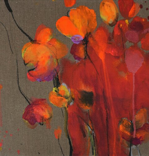 Dunkelmohn  3 Alexandra Hiltl