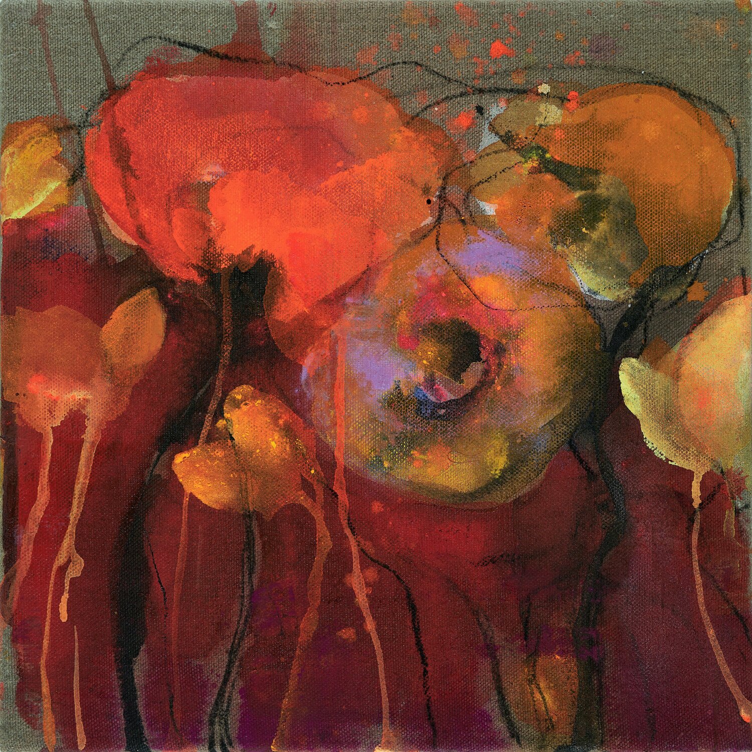 Dunkelmohn1 Alexandra Hiltl