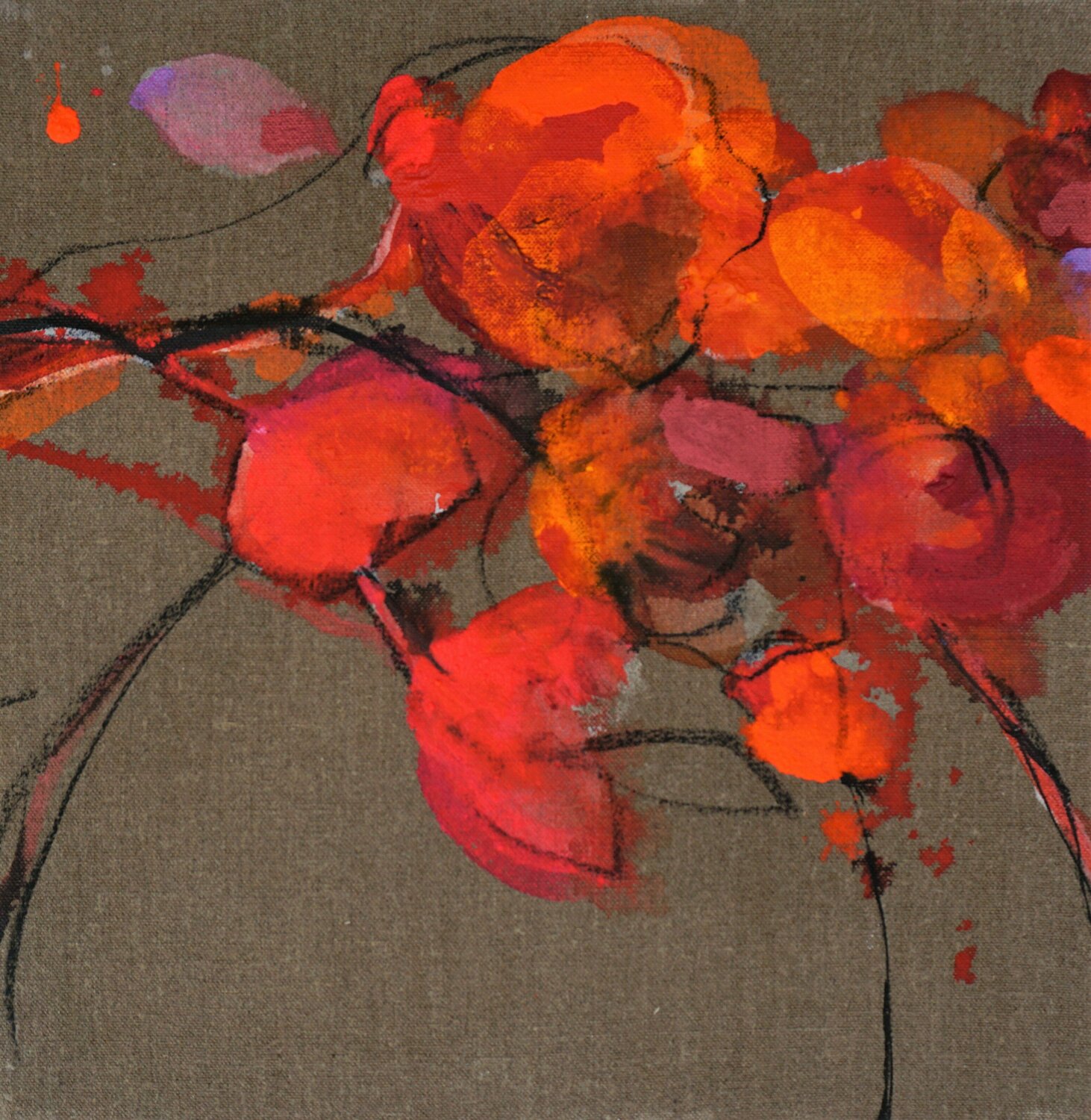 Dunkelmohn 4 Alexandra Hiltl