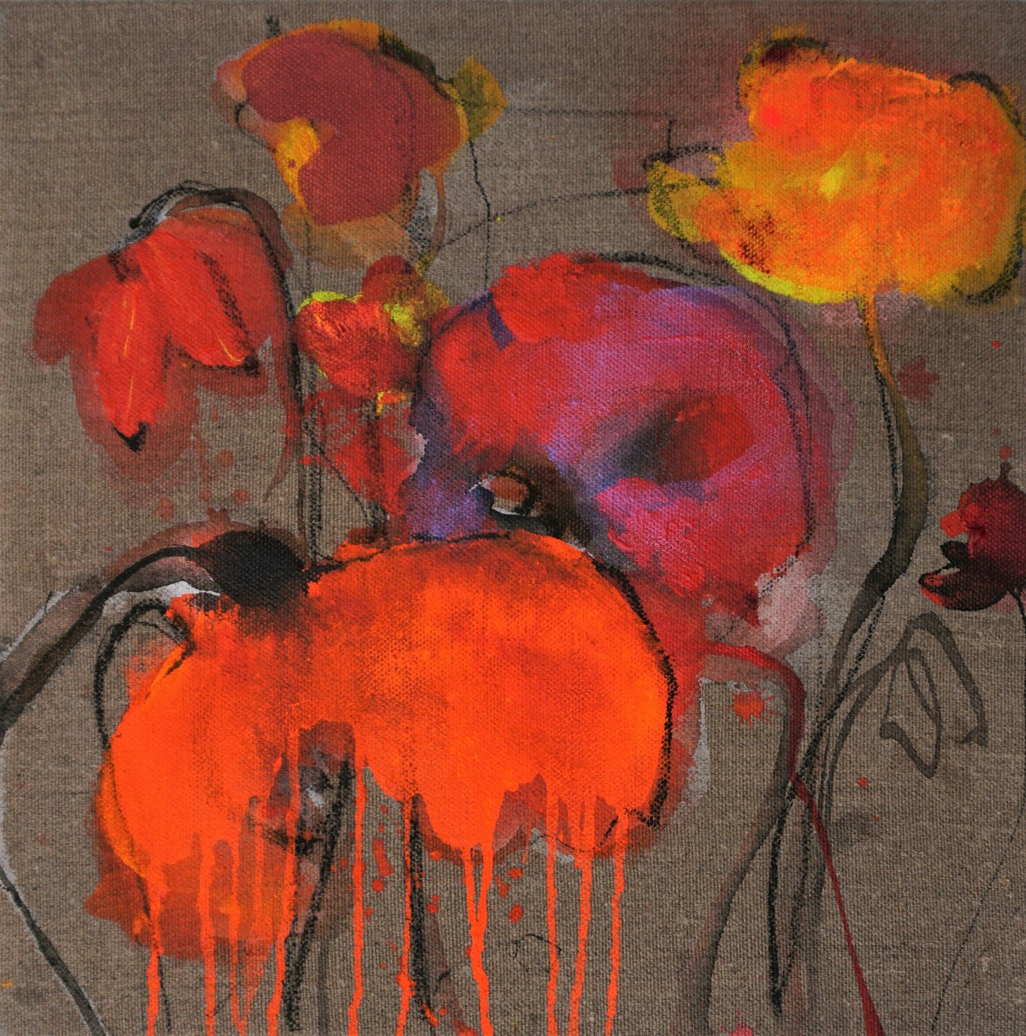 Dunkelmohn 6 Alexandra Hiltl