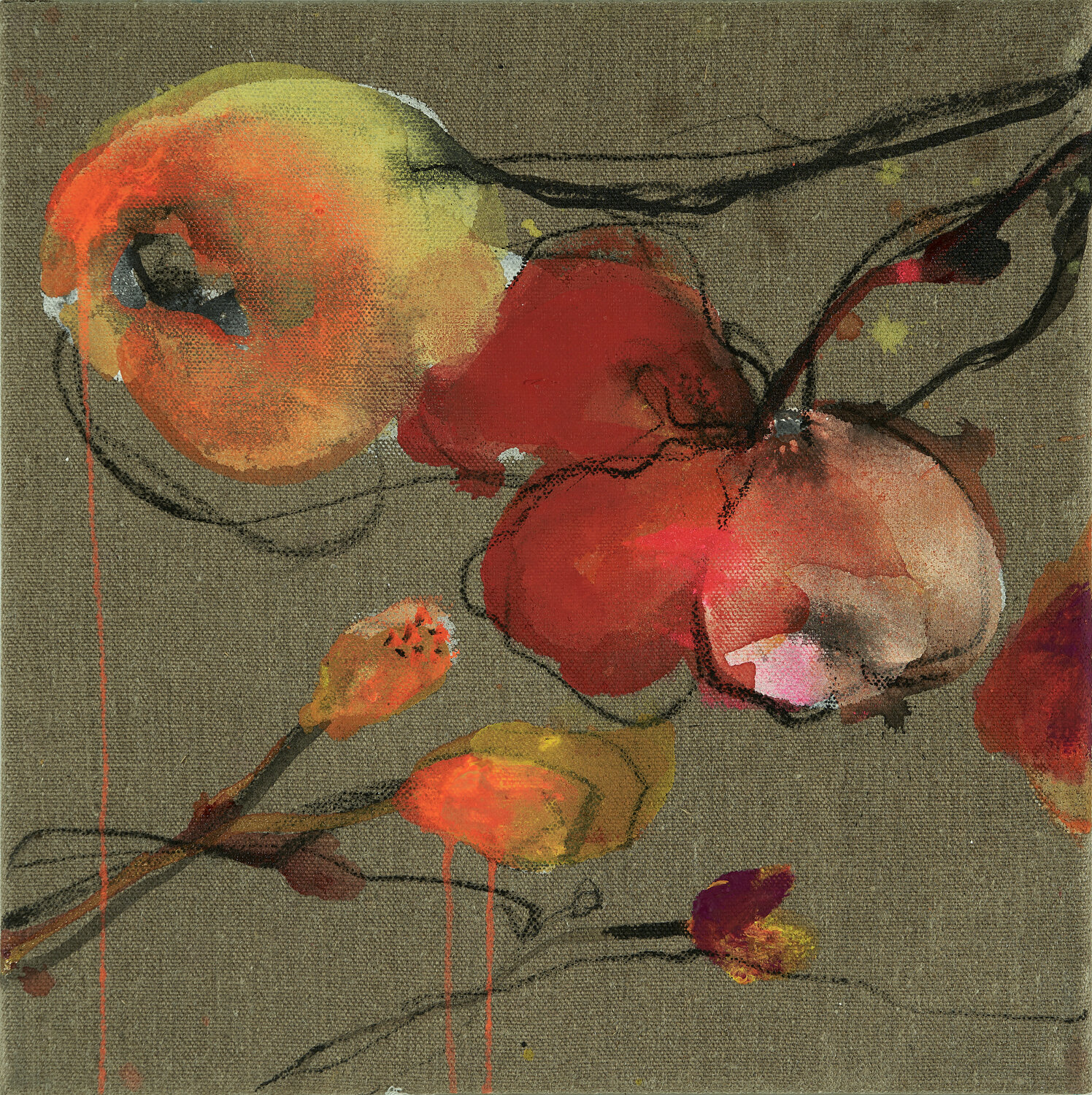 Dunkelmohn 7 Alexandra Hiltl