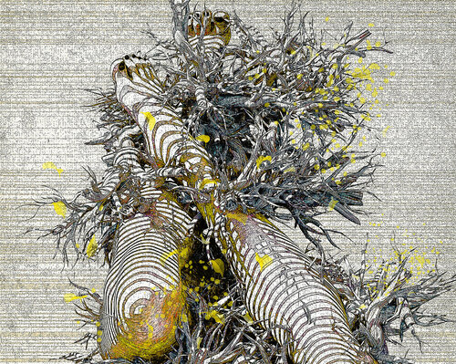 Fairy in Forest2 von Dan Obana, Digital kaufen auf Singulart