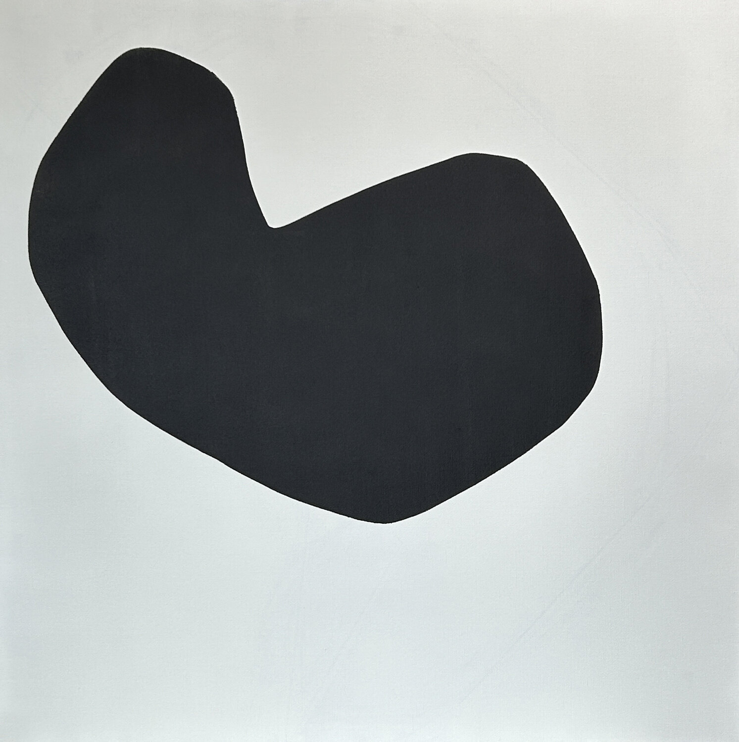 A black bean Shihoko Moritani