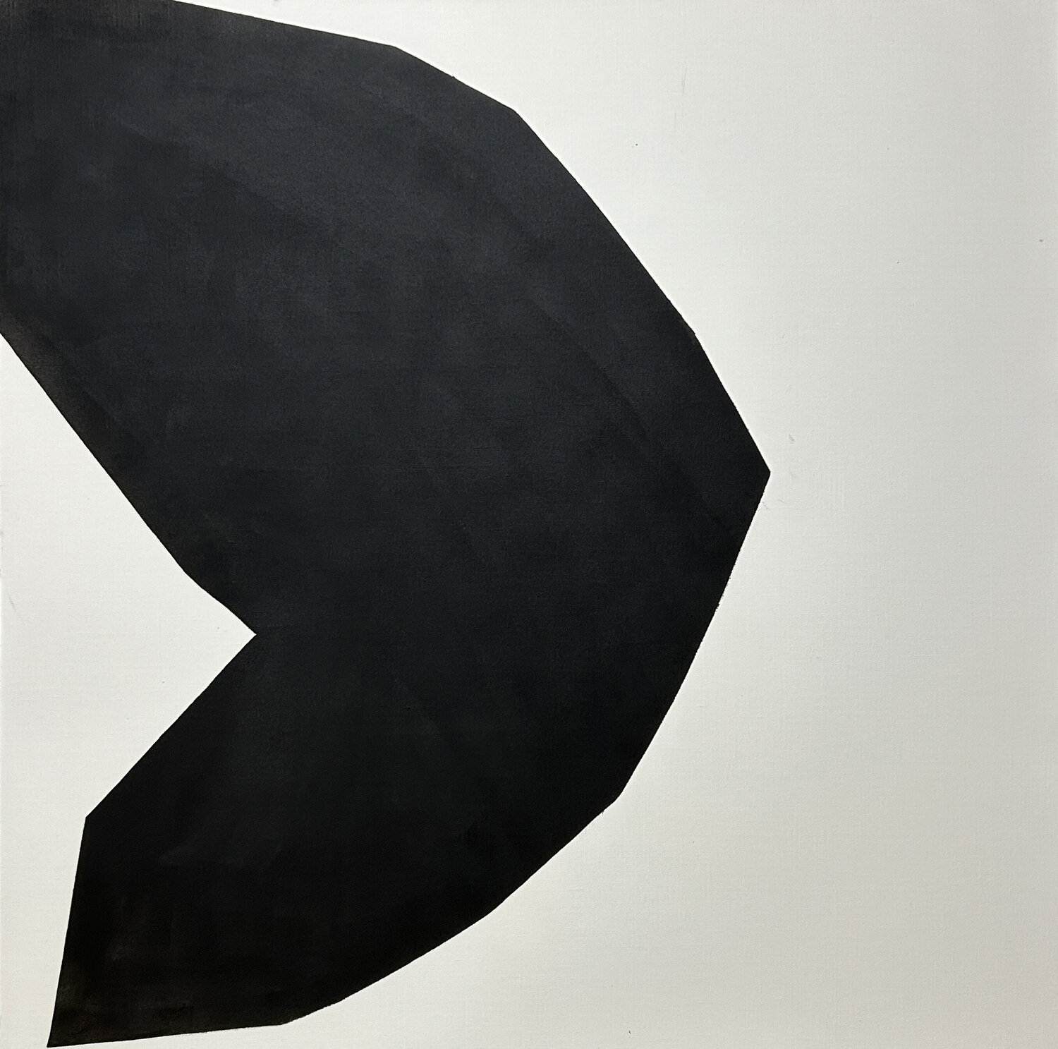 Black bean 3 Shihoko Moritani