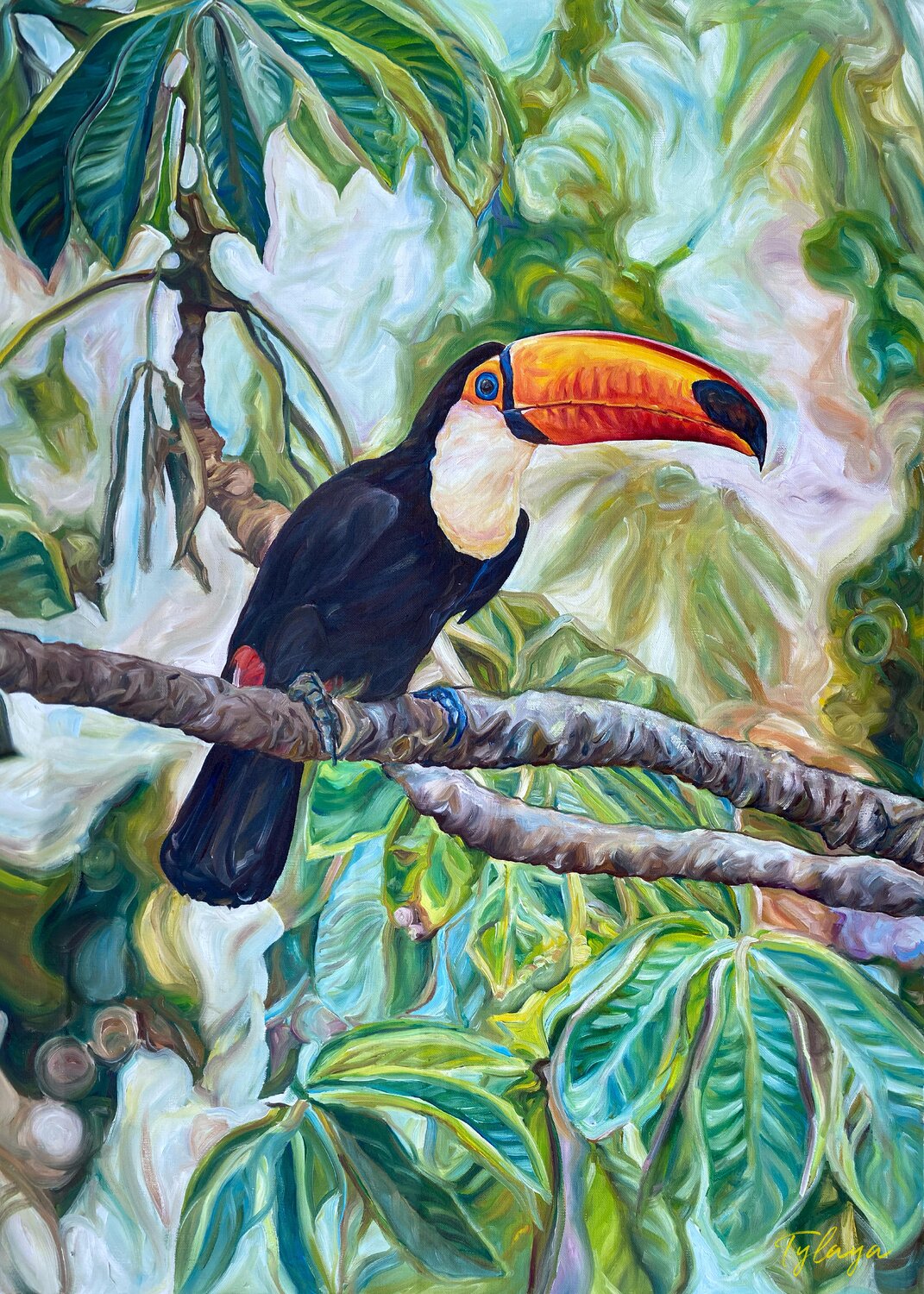Toucan Paintings