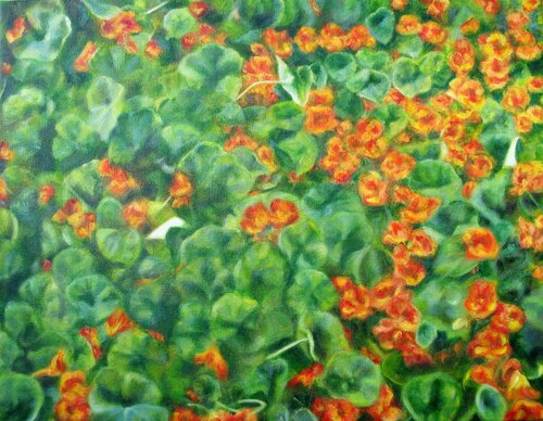 Nasturtiums Joanne Mumford