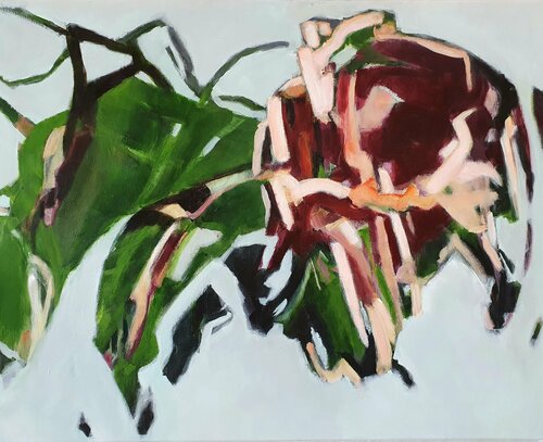 Bea Evers