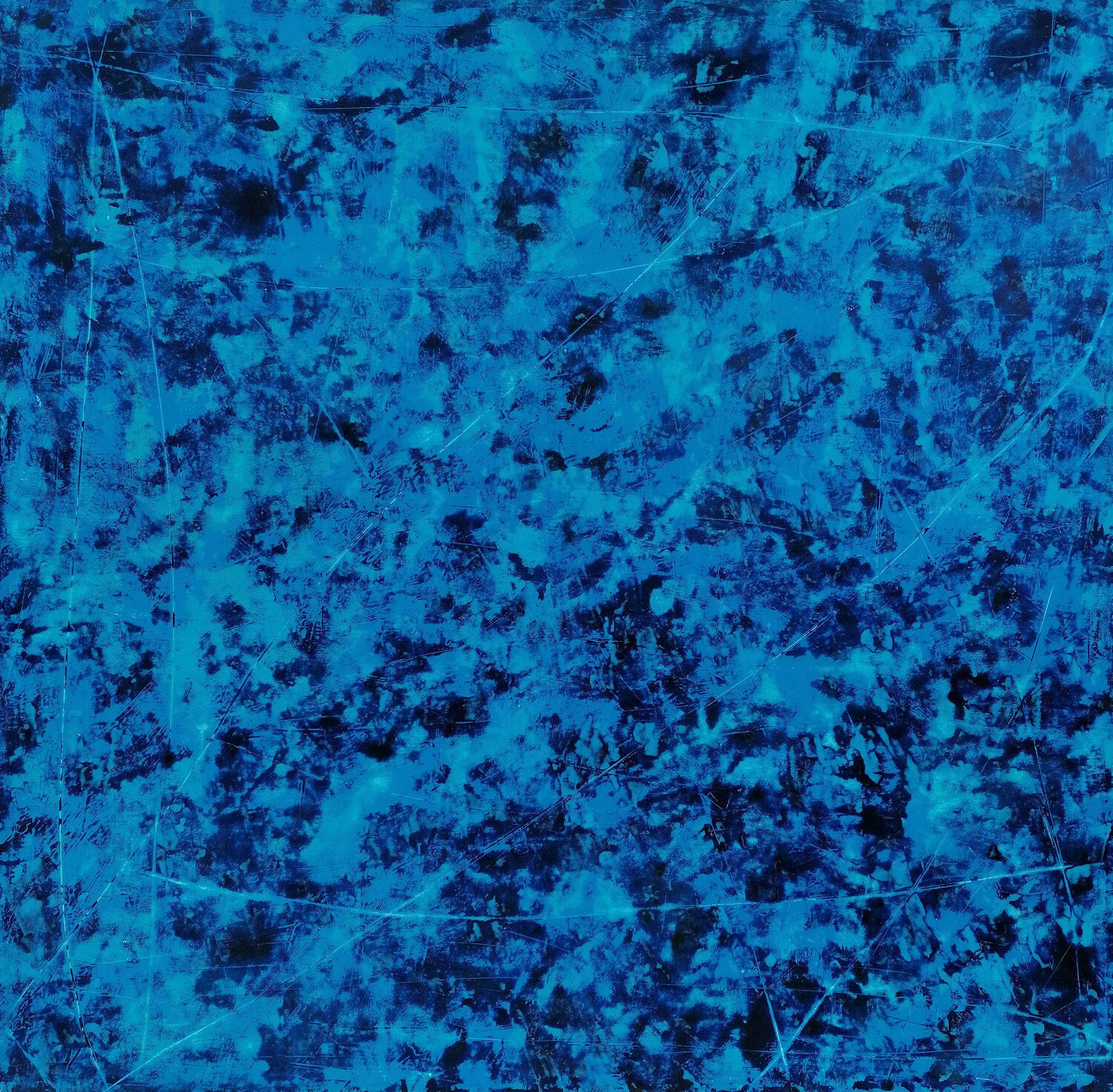 Ocean Rhapsody Maurizio Paccagnella