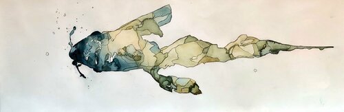 Florida Koi par Marc van der Leeden, Œuvre sur papier en vente sur Singulart