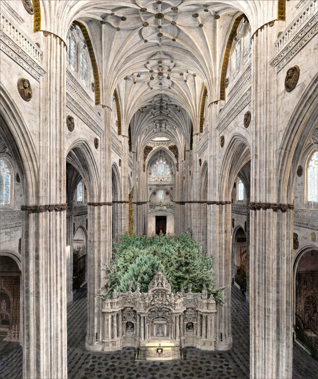 Crece el Interior de la Catedral. Salamanca. España. Carlos Arriaga