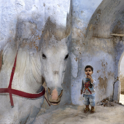 L'enfant et le cheval de Michel Giliberti, Fotografía a la venta en Singulart