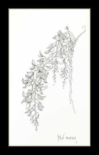 glicine 1 van Polina Ogiy, Tekening te koop op Singulart