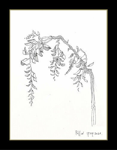 glicine 1 de Polina Ogiy, Dibujo a la venta en Singulart