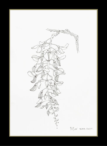 glicine 1 de Polina Ogiy, Dibujo a la venta en Singulart