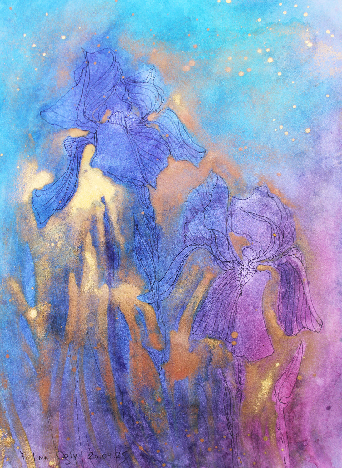 IRIS 18 Polina Ogiy
