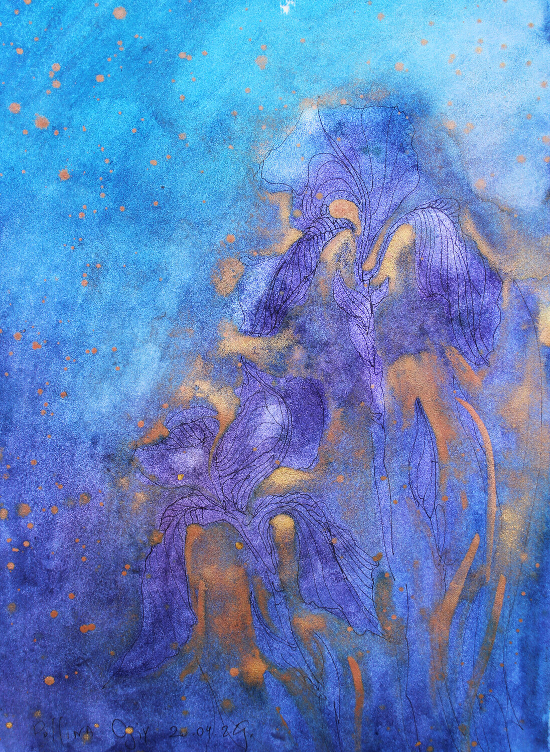 IRIS 19 Polina Ogiy