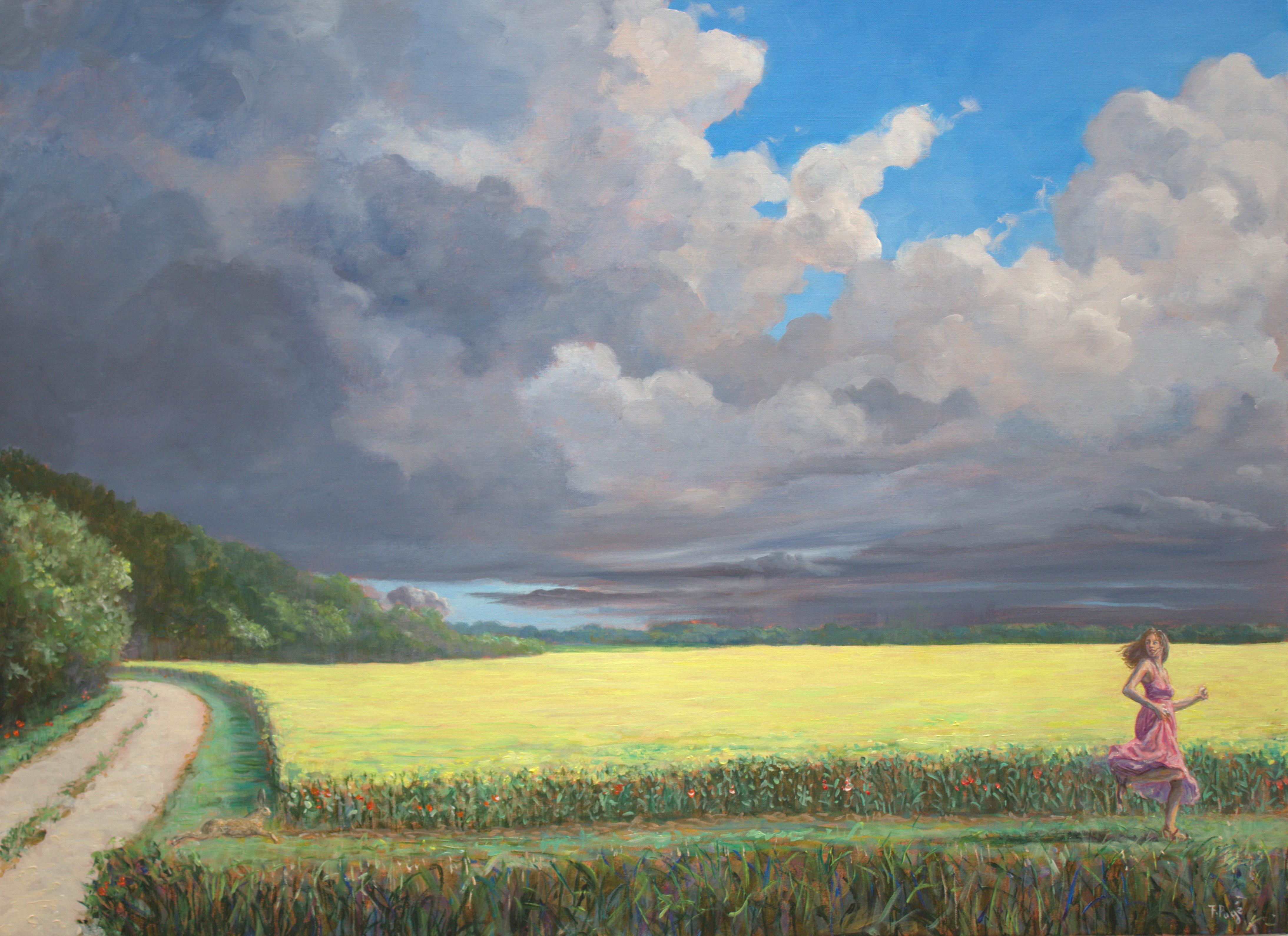 記憶のフィールド