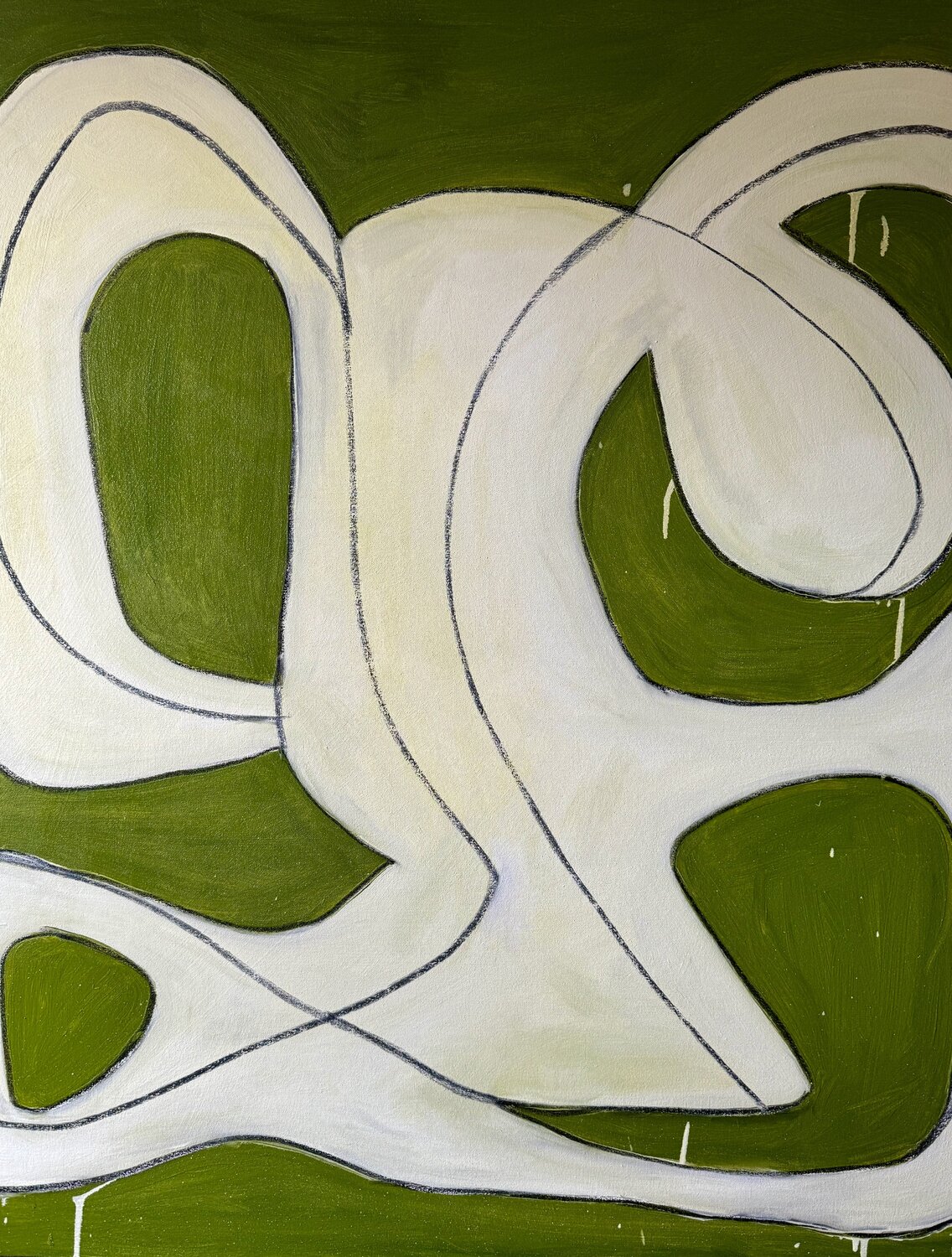 The Green Equation 1 Steven Miller