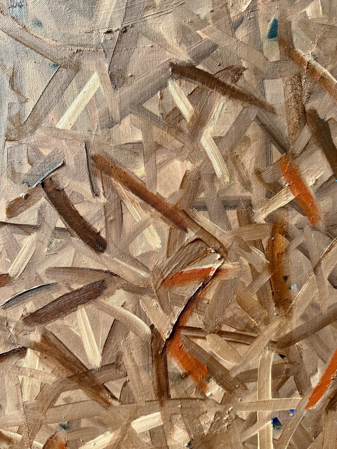 Umber No. 10 Steven Miller