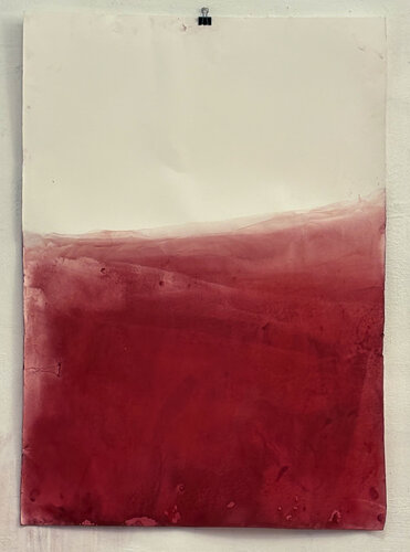 RED Landscape di Marilina Marchica, Disegno in vendita su Singulart