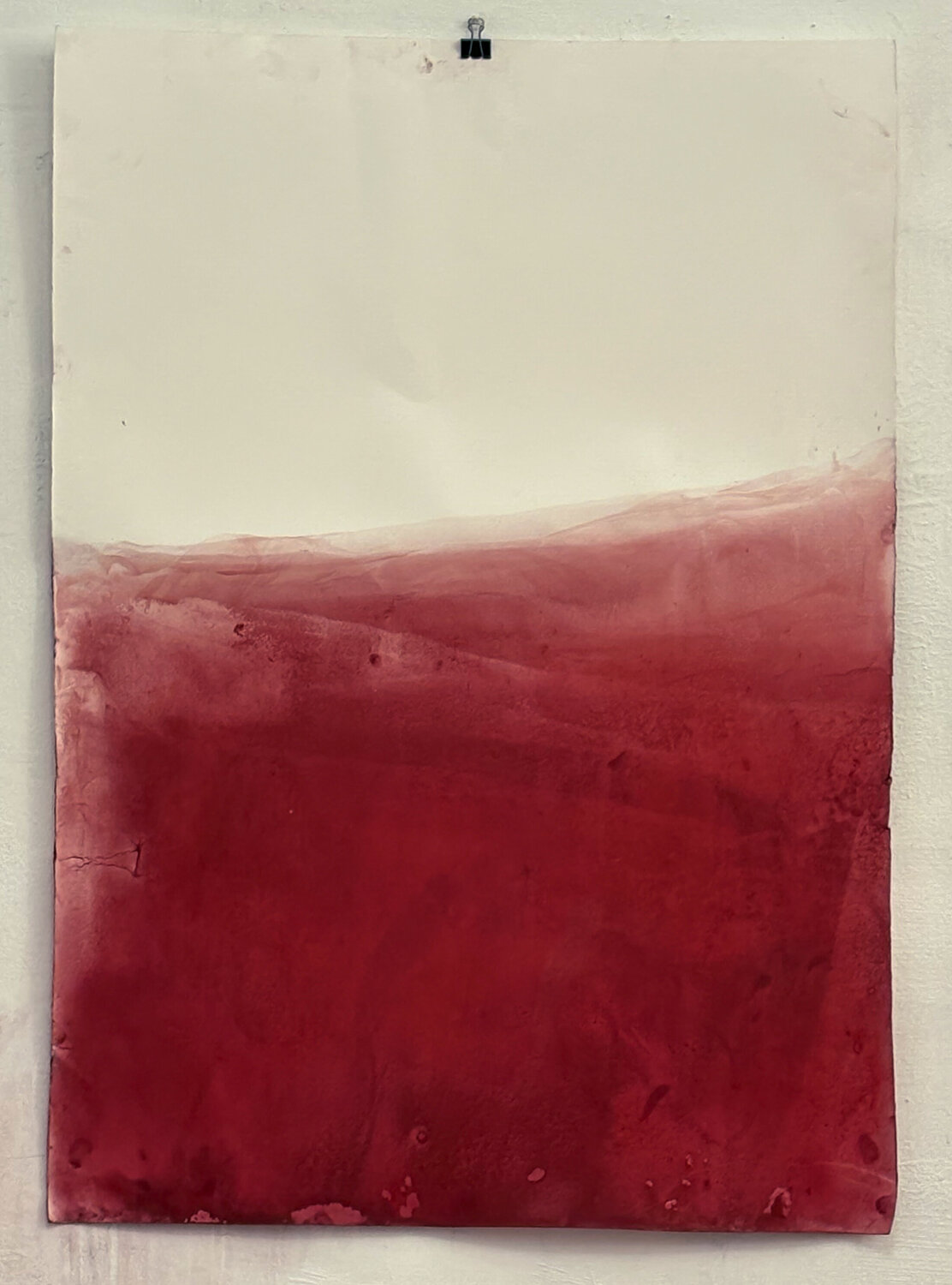RED Landscape Marilina Marchica