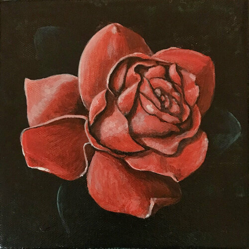 Moonlit Flower II Linda Storm