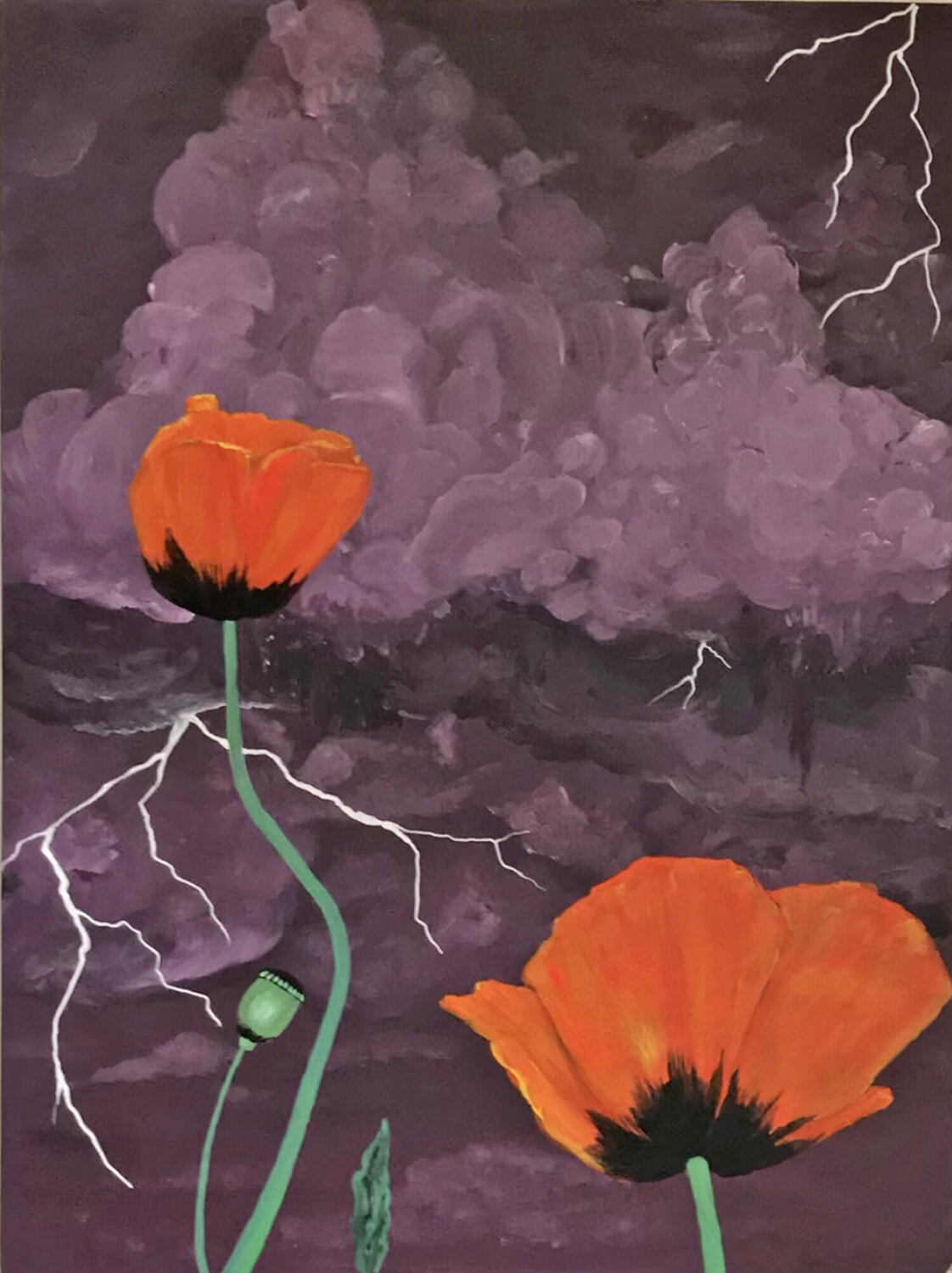 Poppies in the Storm I Linda Storm