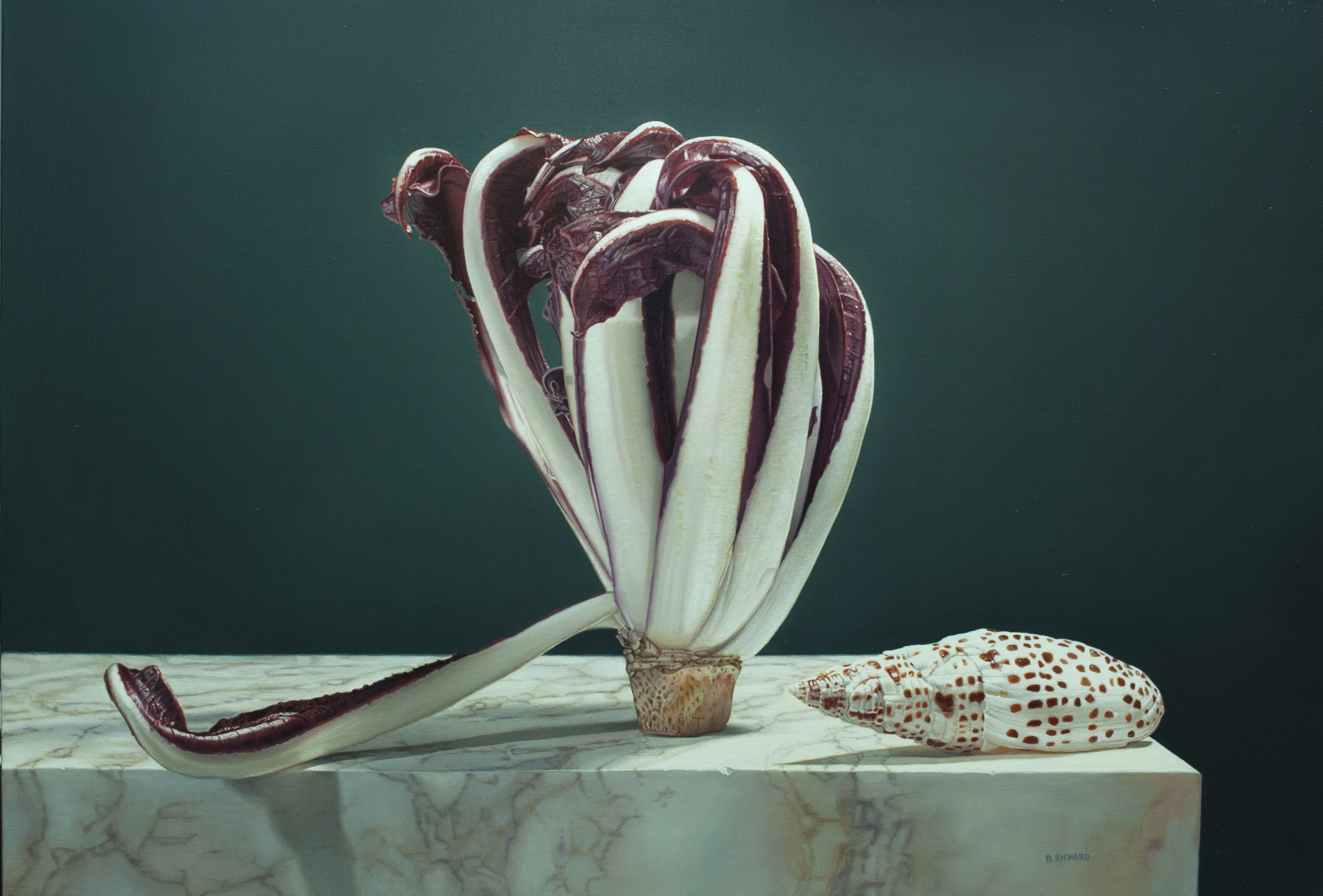 Nautilus. Geometrie des Universums