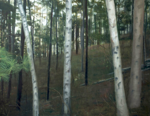 Il bosco delle fate Bruno Richard